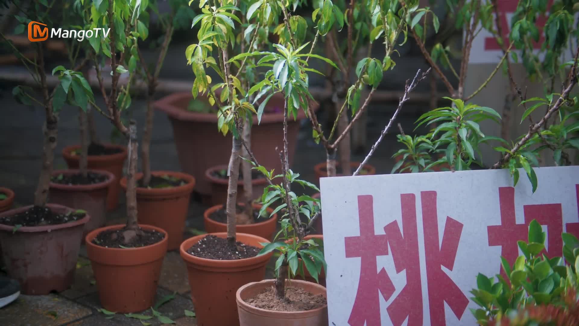 Chó Hoang Và Xương Tập 7